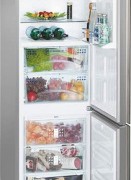 Холодильник двухкамерный Liebherr CBNPgb3956